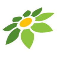 NO TOKOPEDIA